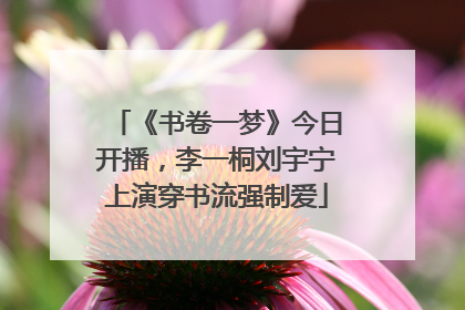 《书卷一梦》今日开播，李一桐刘宇宁上演穿书流强制爱