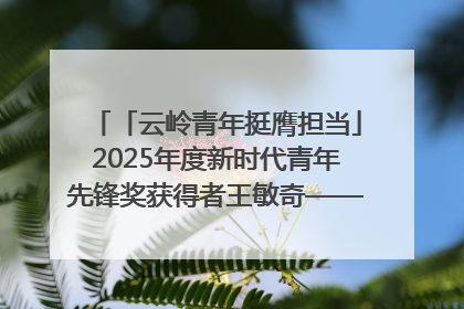 「云岭青年挺膺担当」2025年度新时代青年先锋奖获得者王敏奇——澜沧江上好渔人