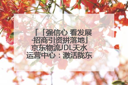 「强信心 看发展·招商引资拼落地」京东物流JDL天水运营中心：激活陇东南区域经济新引擎