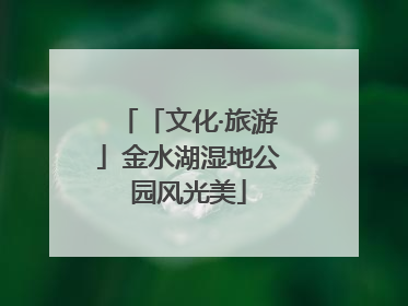 「文化·旅游」金水湖湿地公园风光美