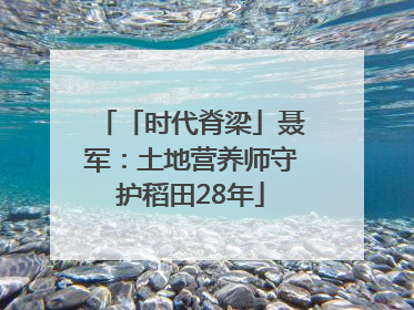 「时代脊梁」聂军：土地营养师守护稻田28年