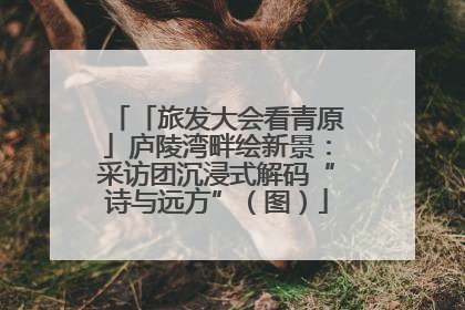 「旅发大会看青原」庐陵湾畔绘新景：采访团沉浸式解码“诗与远方”（图）