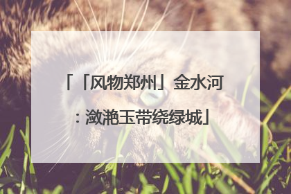 「风物郑州」金水河：潋滟玉带绕绿城