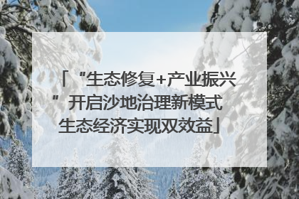 “生态修复+产业振兴”开启沙地治理新模式 生态经济实现双效益