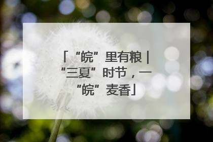“皖”里有粮｜“三夏”时节，一“皖”麦香
