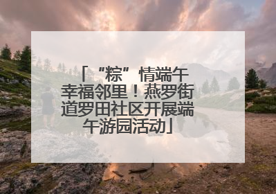 “粽”情端午 幸福邻里！燕罗街道罗田社区开展端午游园活动