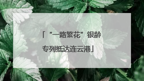 “一路繁花”银龄专列抵达连云港