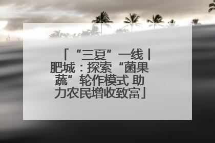 “三夏”一线丨肥城：探索“菌果蔬”轮作模式 助力农民增收致富