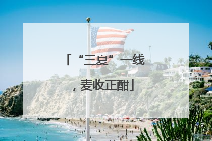 “三夏”一线，麦收正酣