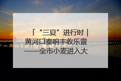 “三夏”进行时｜黄河口奏响丰收乐章——全市小麦进入大面积收获高峰期
