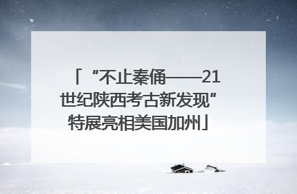 “不止秦俑——21世纪陕西考古新发现”特展亮相美国加州