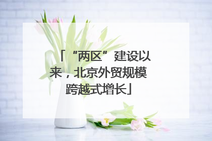 “两区”建设以来，北京外贸规模跨越式增长