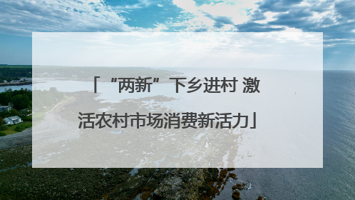 “两新”下乡进村 激活农村市场消费新活力