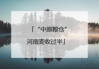 “中原粮仓”河南麦收过半
