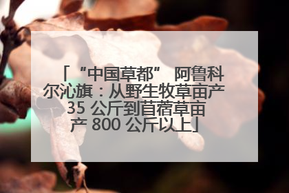 “中国草都” 阿鲁科尔沁旗：从野生牧草亩产 35 公斤到苜蓿草亩产 800 公斤以上