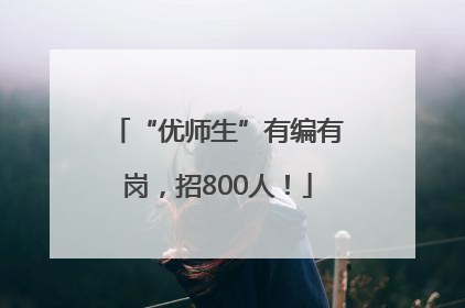 “优师生”有编有岗，招800人！