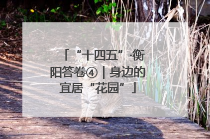 “十四五”·衡阳答卷④｜身边的宜居“花园”