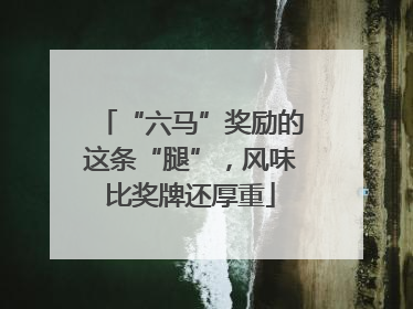 “六马”奖励的这条“腿”，风味比奖牌还厚重