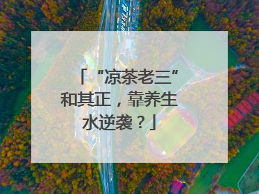 “凉茶老三”和其正，靠养生水逆袭？