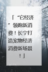 “它经济”领跑新消费！长宁打造宠物经济消费新场景！