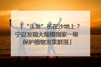“头发”长在沙地上？宁夏发现大规模国家一级保护植物发菜群落