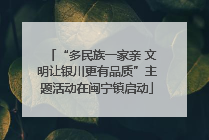 “多民族一家亲 文明让银川更有品质”主题活动在闽宁镇启动