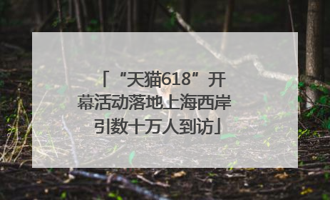 “天猫618”开幕活动落地上海西岸 引数十万人到访
