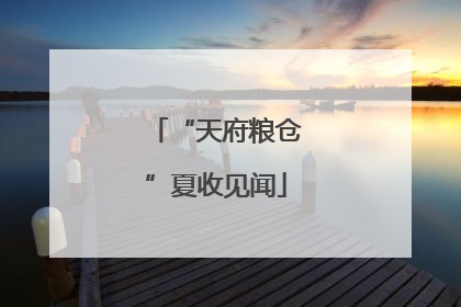 “天府粮仓”夏收见闻