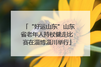 “好运山东”山东省老年人持杖健走比赛在淄博淄川举行