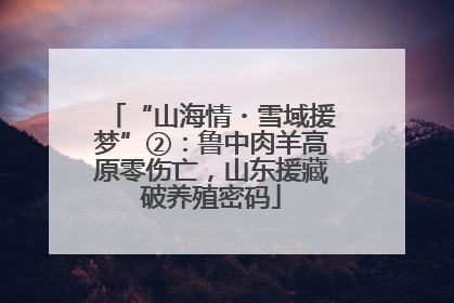 “山海情・雪域援梦”②：鲁中肉羊高原零伤亡，山东援藏破养殖密码