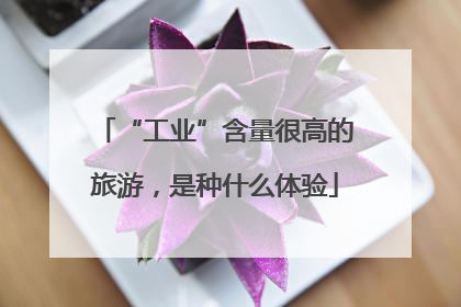 “工业”含量很高的旅游，是种什么体验