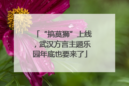 “搞莫狮”上线，武汉方言主题乐园年底也要来了
