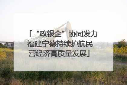 “政银企”协同发力 福建宁德持续护航民营经济高质量发展