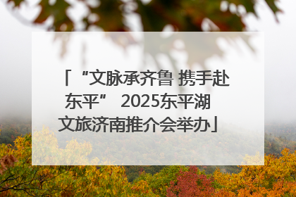 “文脉承齐鲁 携手赴东平” 2025东平湖文旅济南推介会举办