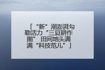 “新”潮澎湃勾勒活力“三夏耕作图” 田间地头满满“科技范儿”