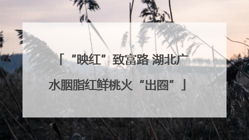 “映红”致富路 湖北广水胭脂红鲜桃火“出圈”