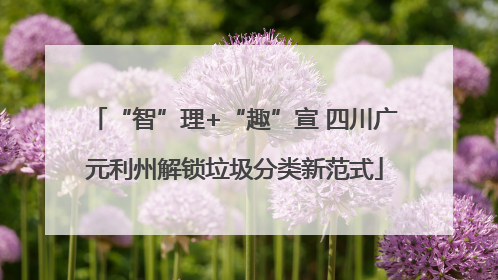 “智”理+“趣”宣 四川广元利州解锁垃圾分类新范式