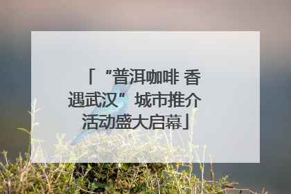 “普洱咖啡 香遇武汉”城市推介活动盛大启幕