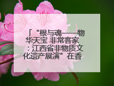 “根与魂——物华天宝 非常客家：江西省非物质文化遗产展演”在香港举行