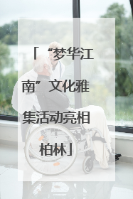 “梦华江南”文化雅集活动亮相柏林