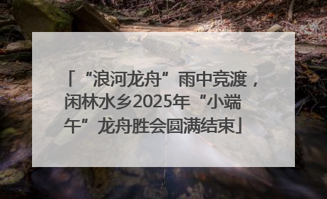 “浪河龙舟”雨中竞渡，闲林水乡2025年“小端午”龙舟胜会圆满结束
