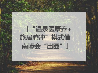 “温泉医康养+旅居腾冲”模式借南博会“出圈”