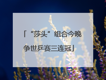 “莎头”组合今晚争世乒赛三连冠