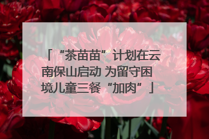 “茶苗苗”计划在云南保山启动 为留守困境儿童三餐“加肉”