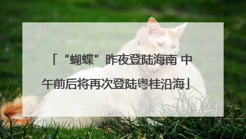 “蝴蝶”昨夜登陆海南 中午前后将再次登陆粤桂沿海