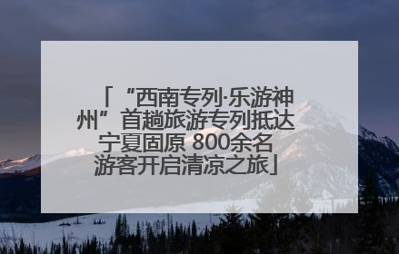 “西南专列·乐游神州”首趟旅游专列抵达宁夏固原 800余名游客开启清凉之旅
