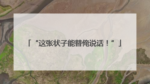 “这张状子能替俺说话！”