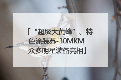 “超级大黄蜂”、特色涂装苏-30MKM 众多明星装备亮相