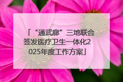 “通武廊”三地联合签发医疗卫生一体化2025年度工作方案
