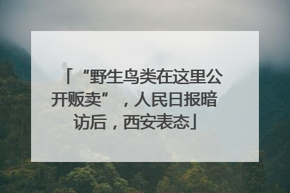 “野生鸟类在这里公开贩卖”，人民日报暗访后，西安表态